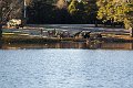 guns on the lake